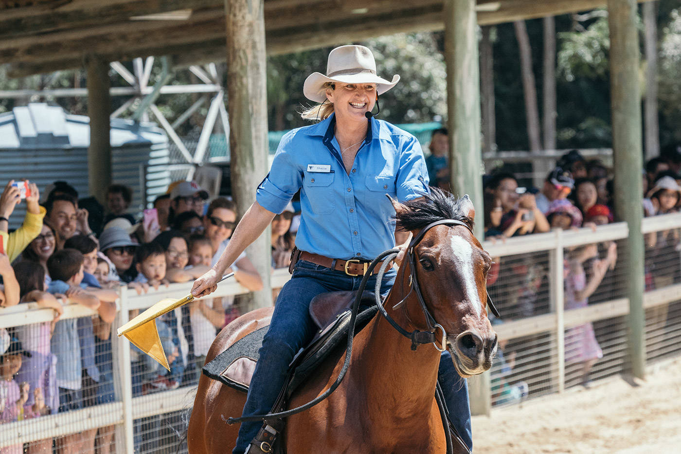 The crowd enjoying the Australian Stock Horse Show at Paradis Country Gold Coast - KKDay Top 15 Family Attractions in Brisbane, Gold Coast, and Cairns to Experience This Year